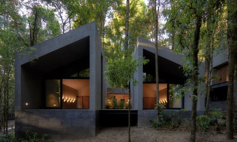 منظور يوضح انفصال الكبائن عن بعضها البعض، مبرزاً الأسطح المائلة التي تحاكي تضاريس الأرض وتسمح بمرور الضوء الطبيعي بين الكتل.