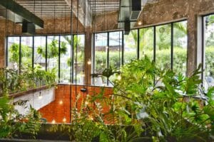 تصميم داخلي يجسد العمارة الخضراء مع دمج مكثف للنباتات الطبيعية والإضاءة الشمسية