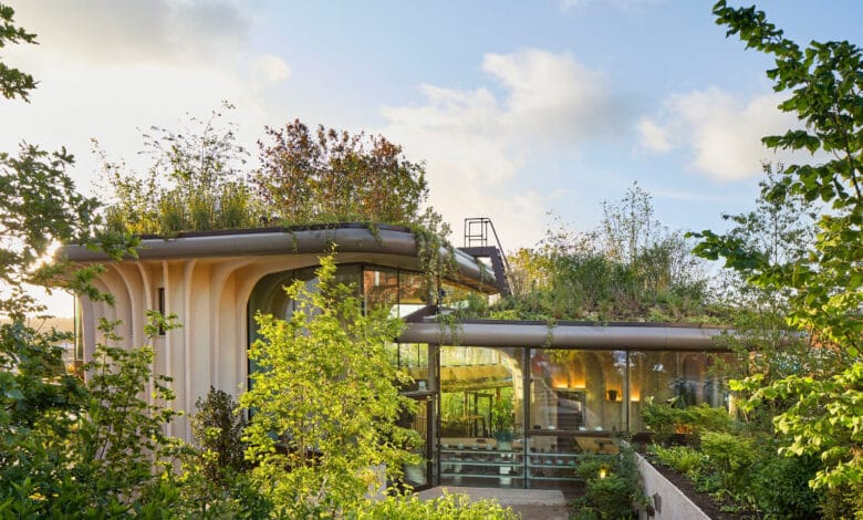 صورة توضح دمج الكتلة المعماريّة / العمارة الحيوية مع الغطاء النباتي لتأمين بيئة استشفائية ونفسية مريحة.