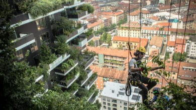 لقطة مقربة تُظهر فريق صيانة متخصص يمارس أعمال التقليم والرعاية للنباتات الكثيفة على شرفات مبنى Bosco Verticale في ميلانو، مما يجسد الجانب العملي والمهني المطلوب للحفاظ على الاستدامة العمرانية في الغابات العمودية.