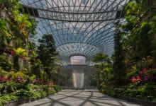 منظور داخلي لمنطقة أورتشارد (The Orchard) في مطار حمد الدولي، يستعرض السيولة الفراغية تحت سقف زجاجي بارامتري ضخم، حيث تتوسط الفراغ غابة استوائية كثيفة موزعة على مساحة 6000 متر مربع، مع تسليط الضوء على التناغم بين الهيكل الإنشائي الشبكي والغطاء النباتي الحي.