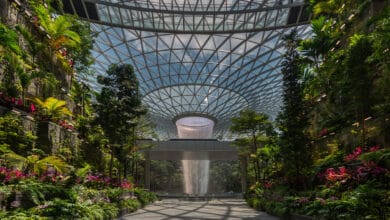 منظور داخلي لمنطقة أورتشارد (The Orchard) في مطار حمد الدولي، يستعرض السيولة الفراغية تحت سقف زجاجي بارامتري ضخم، حيث تتوسط الفراغ غابة استوائية كثيفة موزعة على مساحة 6000 متر مربع، مع تسليط الضوء على التناغم بين الهيكل الإنشائي الشبكي والغطاء النباتي الحي.